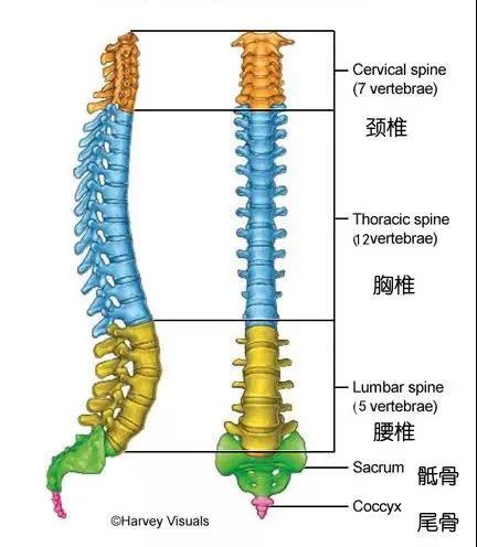 微信图片_20201218102925.jpg