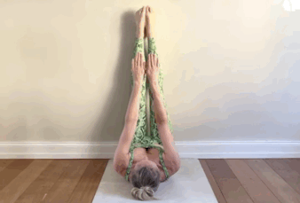 4.gif