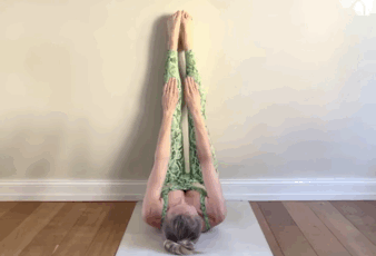 5.gif
