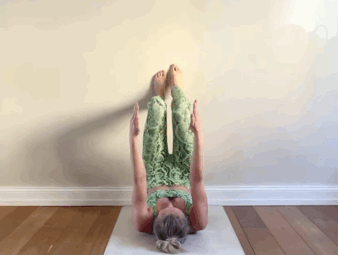 7.gif