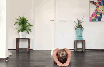 12.gif